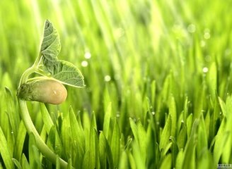 四辩治癌无毒疗法 胃癌的精准诊疗有了新思路和新靶点